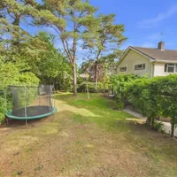 Property 36