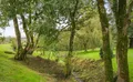 Property image gallery