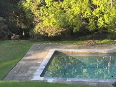 Glen Road, Grayshott, GU26 photo 2