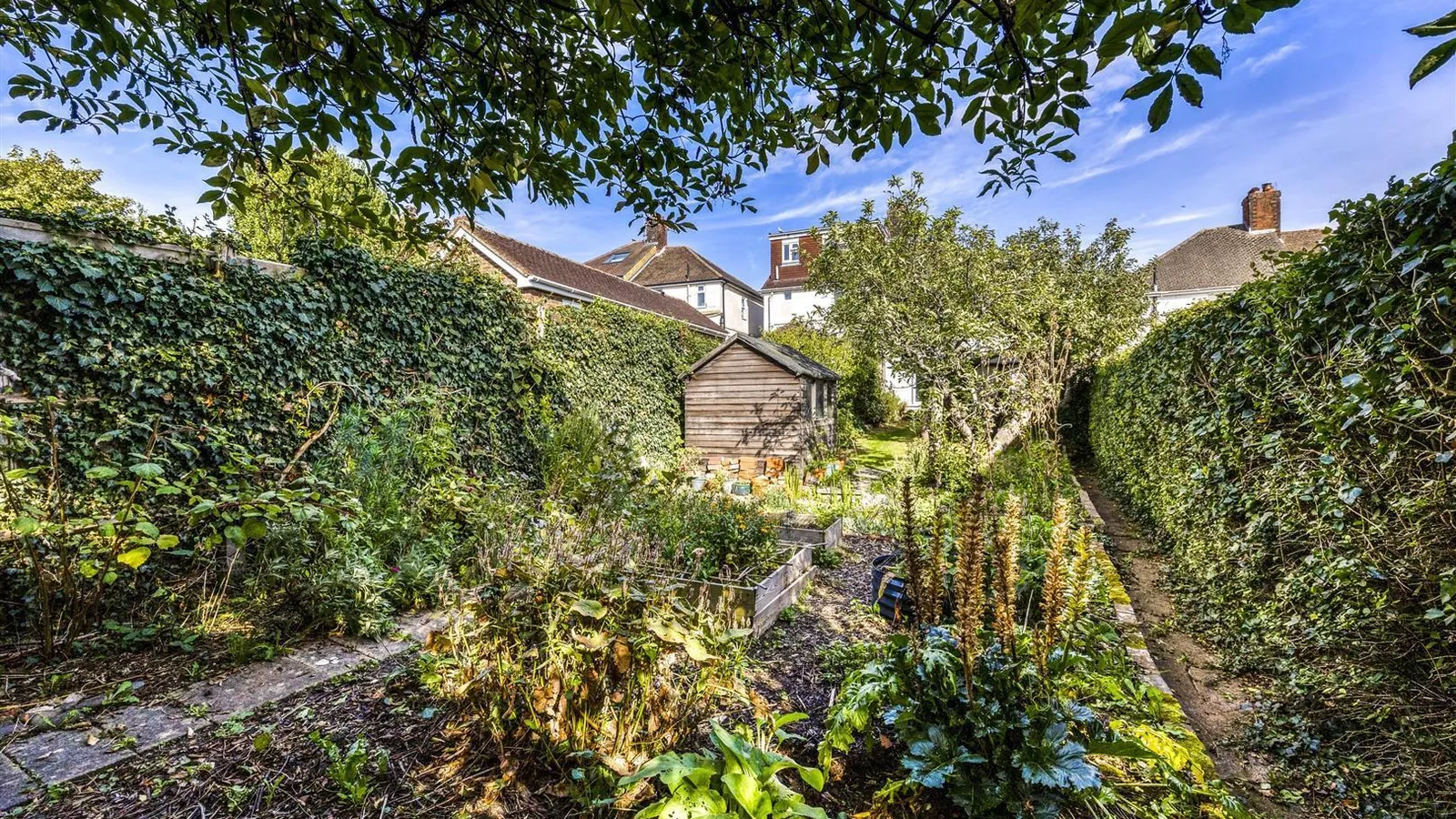 Property Photo 19