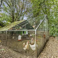 Property 29