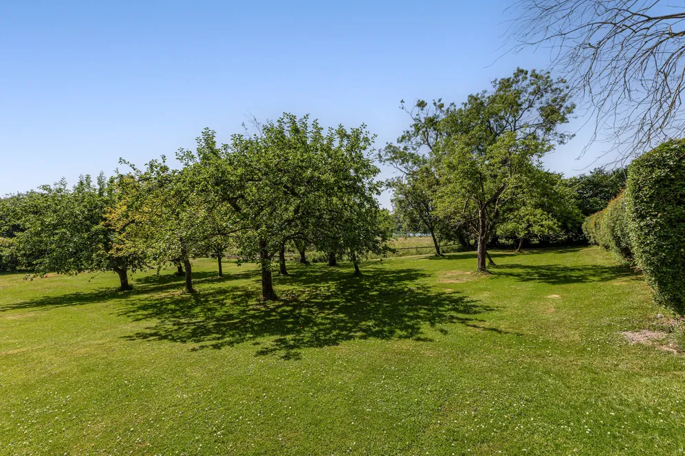 Worldham Hill, East Worldham, GU34 photo 8