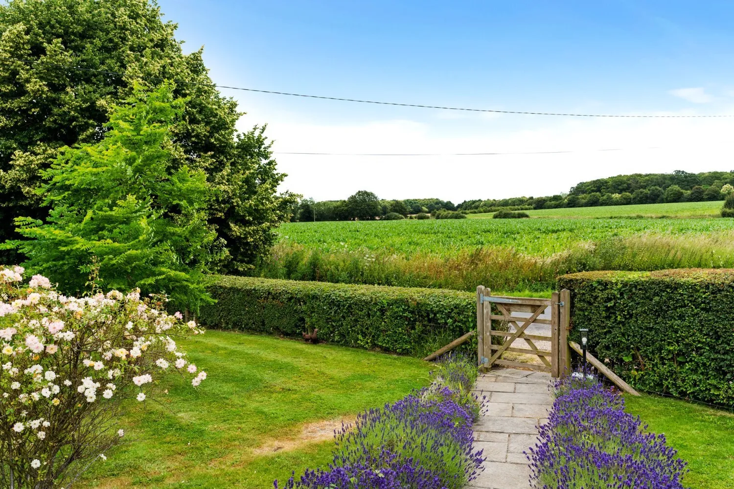 Woodlands Cottage, Rectory Road, CO6 photo 4