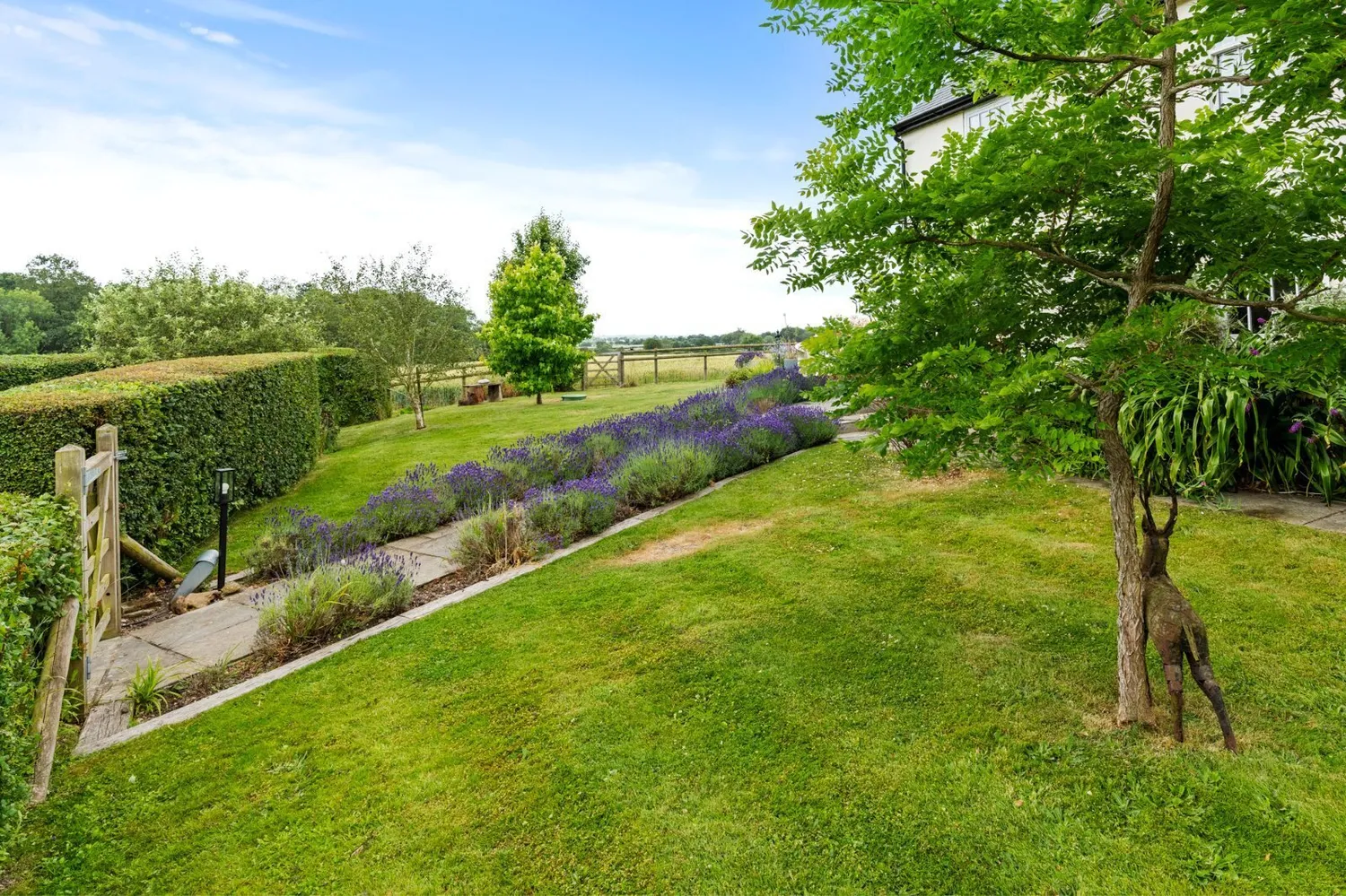 Woodlands Cottage, Rectory Road, CO6 photo 31