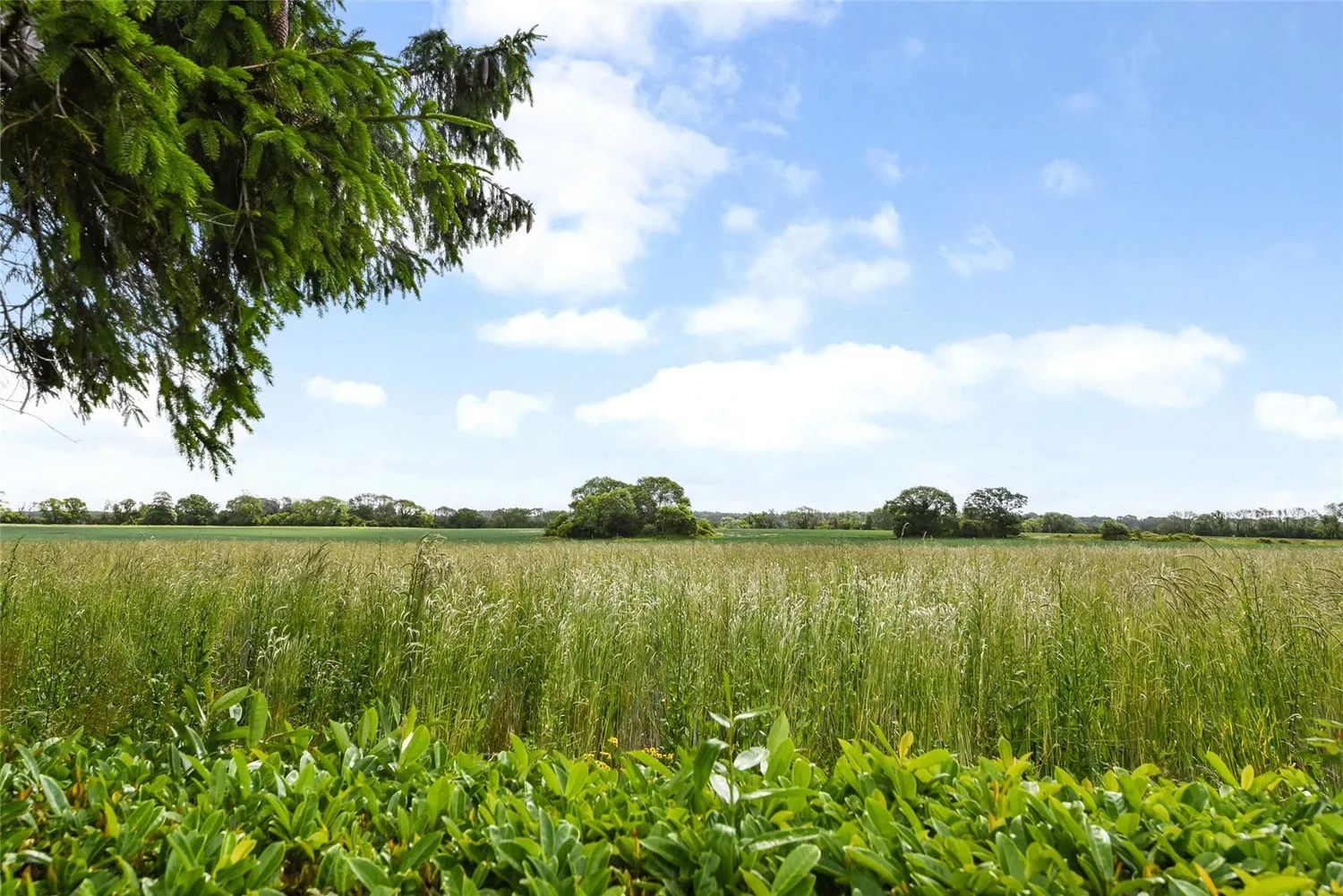 Idsworth, Waterlooville, PO8 photo 12