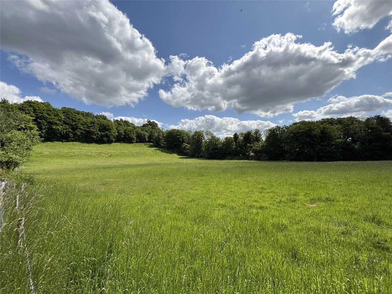 The Warren, West Dean, PO18 photo 20