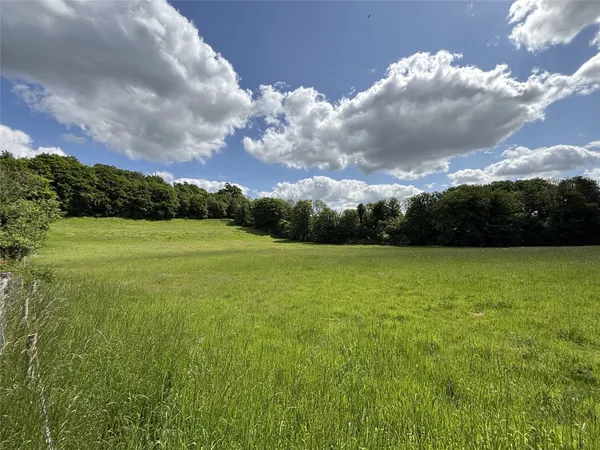 The Warren, West Dean, PO18 photo 20