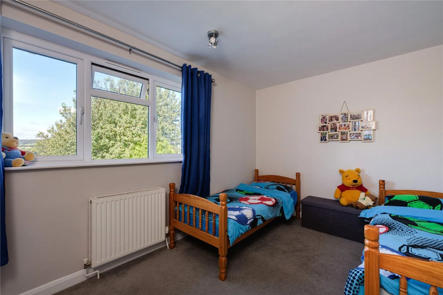 Crock Lane, Bridport, DT6 photo 30