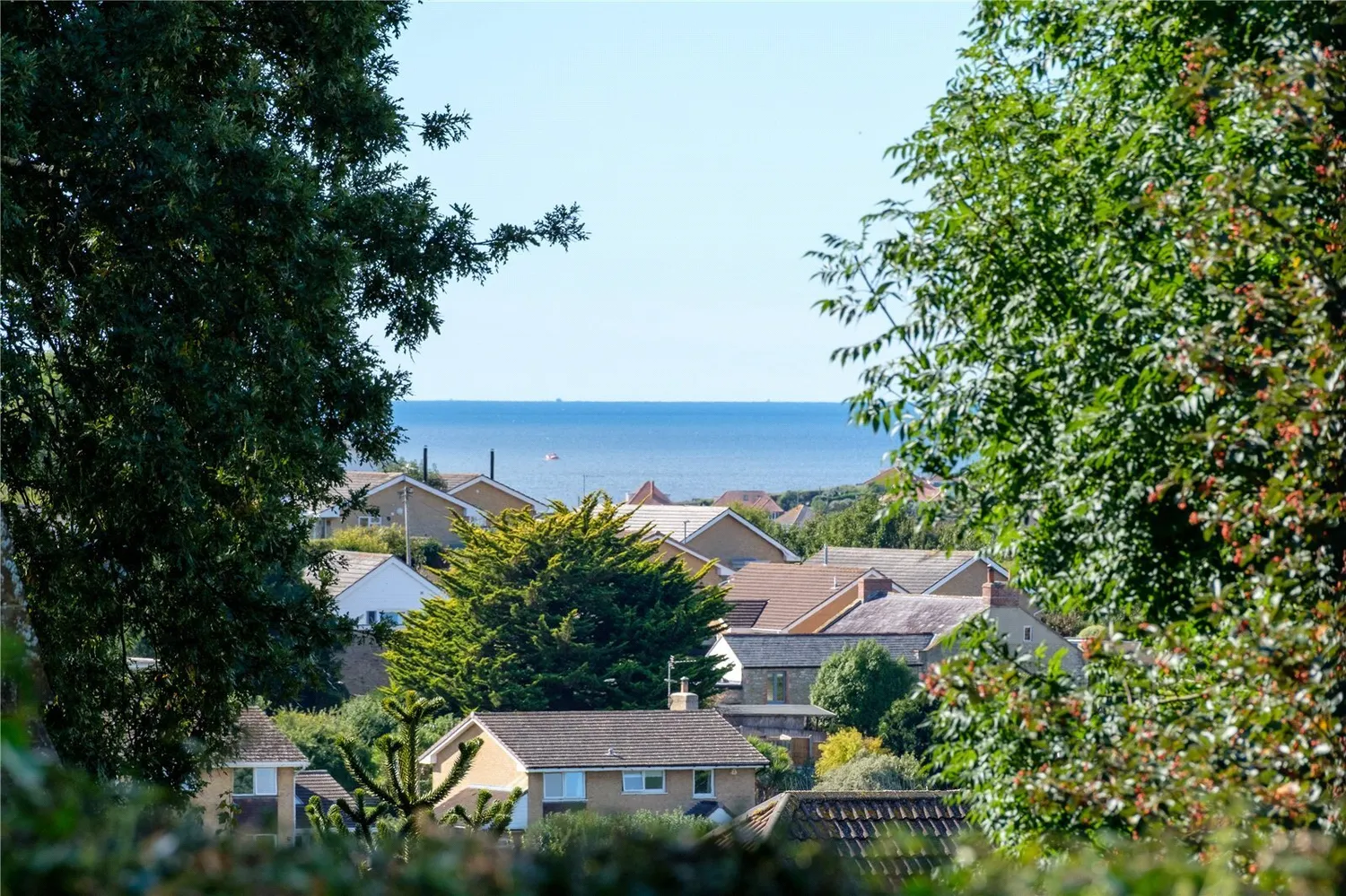 Crock Lane, Bridport, DT6 photo 45