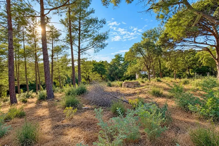 Grimaud, 83310, France