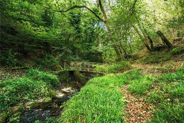 Burlawn, Wadebridge, PL27 photo 15