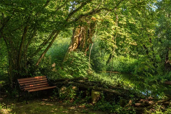 Pixham Firs, Pixham Lane, RH4 photo 9
