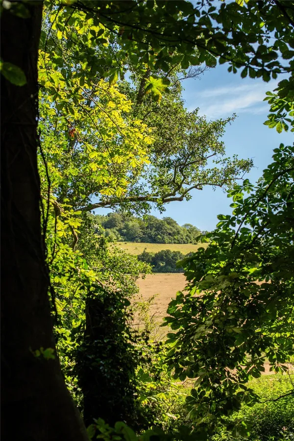 Pixham Firs, Pixham Lane, RH4 photo 11