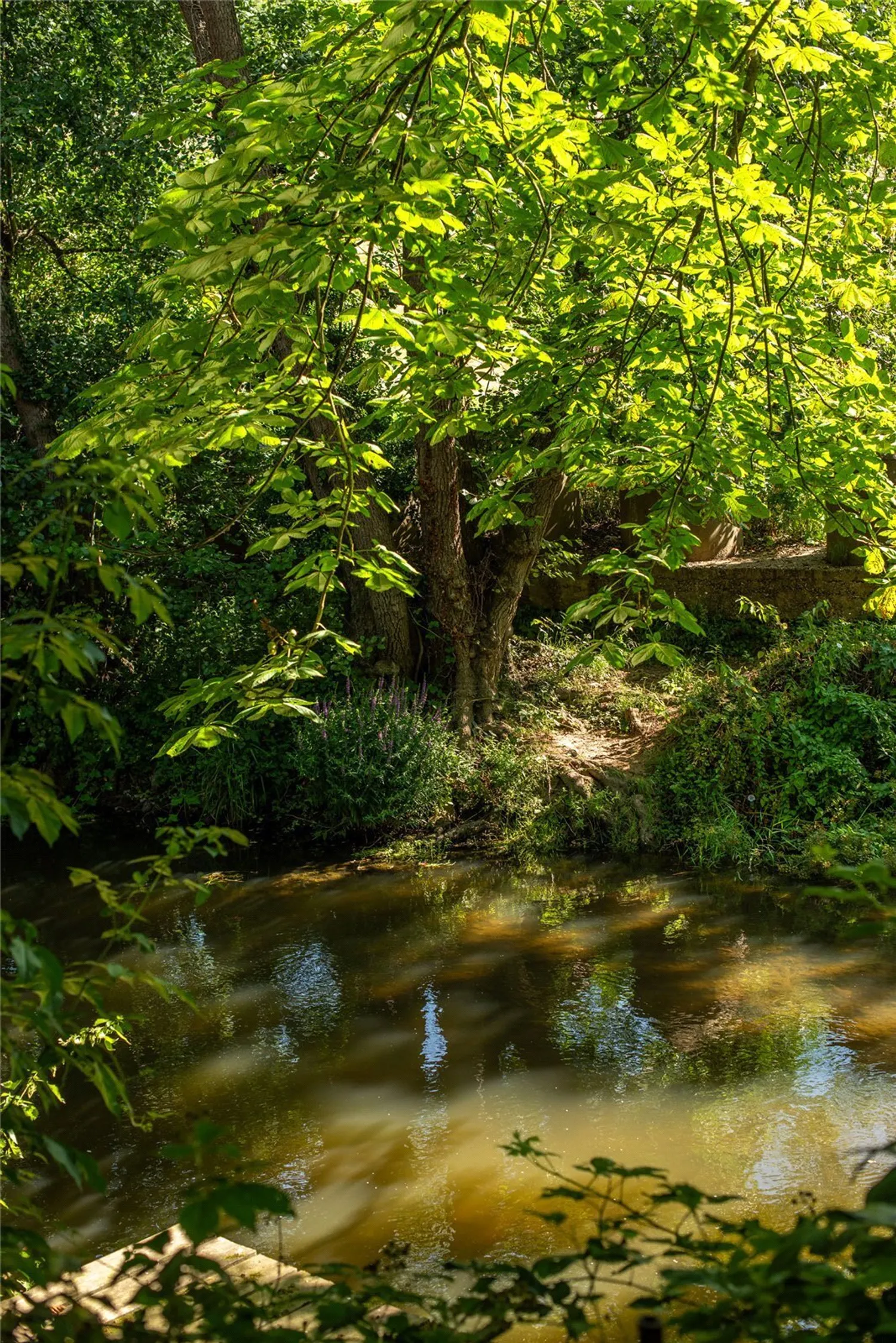 Pixham Firs, Pixham Lane, RH4 photo 12