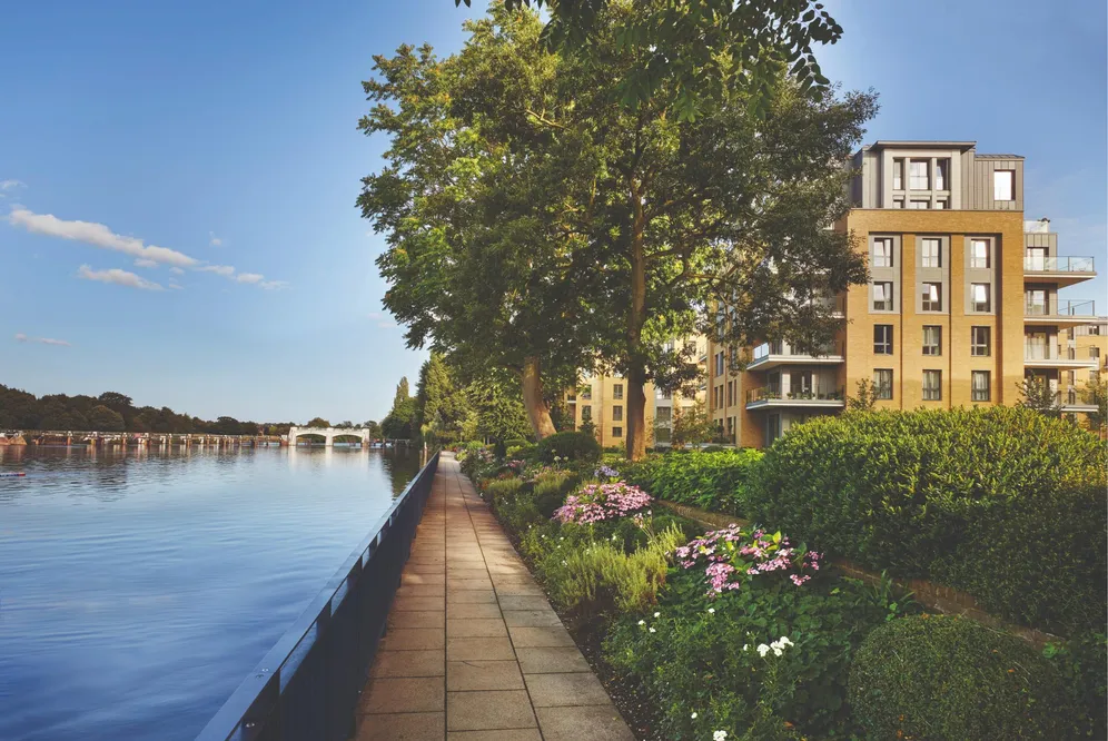 Broom Road, Teddington, TW11 photo 6
