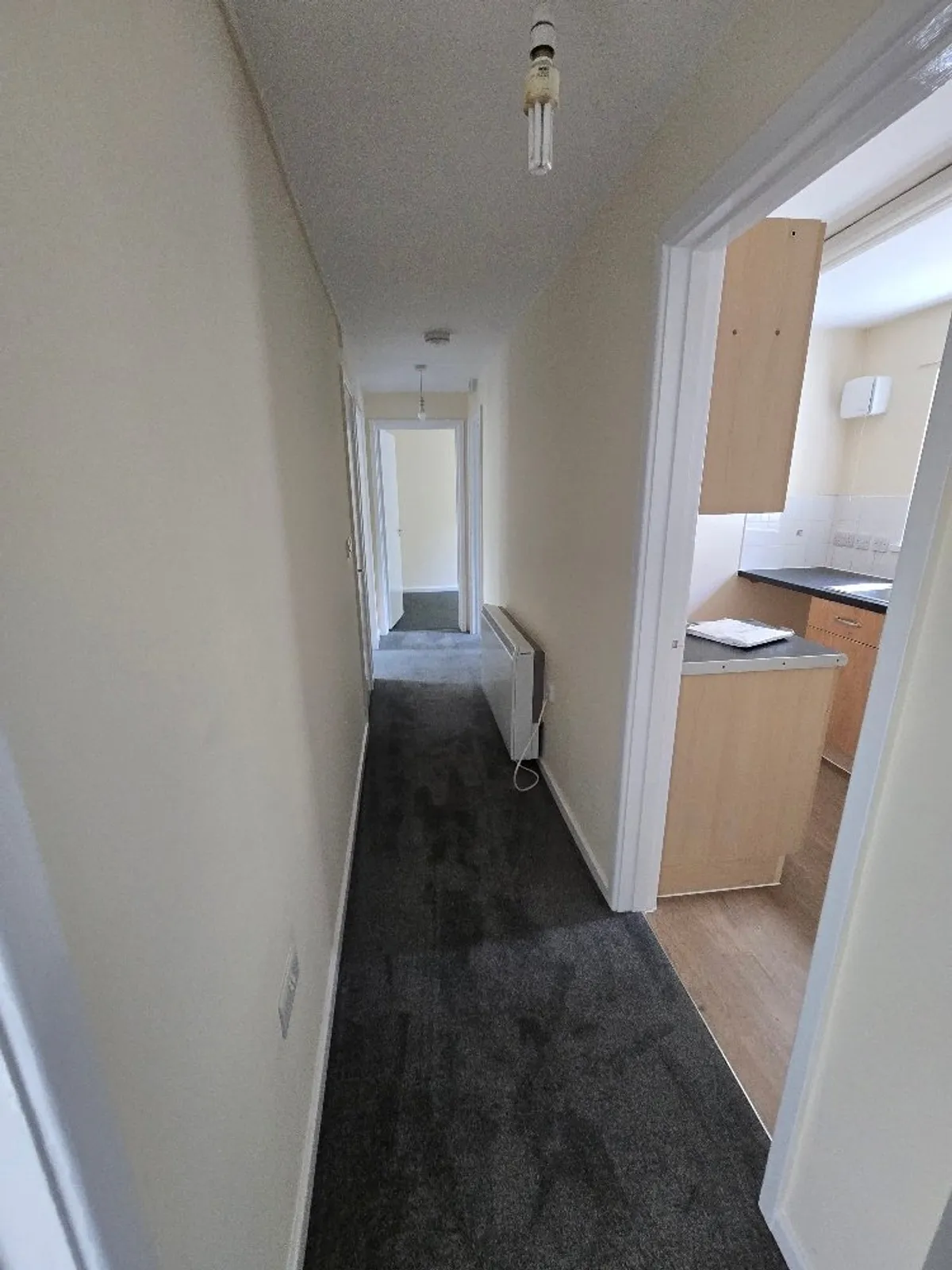 Maesteg, Pennal, Machynlleth, Gwynedd, SY20