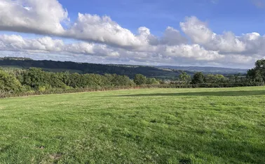 Stockland, Honiton