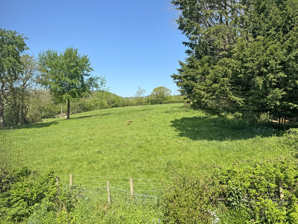 Ridgeway Close, Sidbury Image 5
