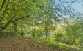 Property image gallery
