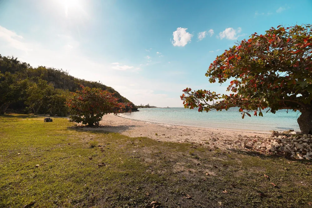 HARMONY HALL TRELAWNY Trelawny