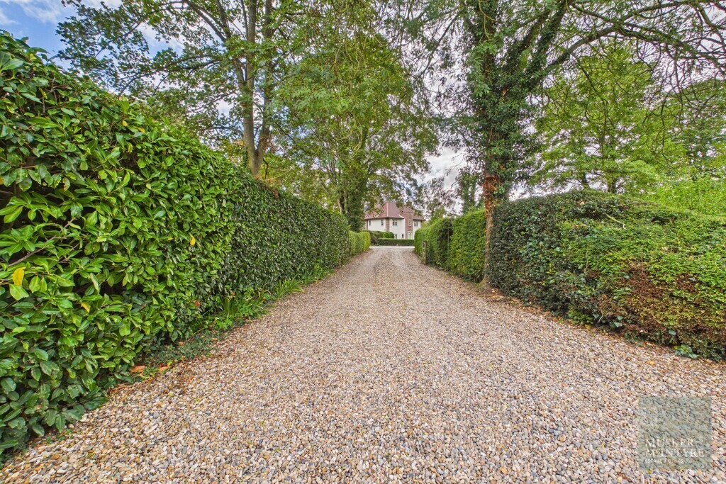 The Street, Brooke, Norwich Image 38
