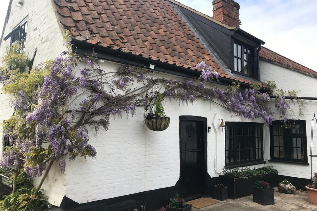 The Street, Brooke, Norwich Image 39