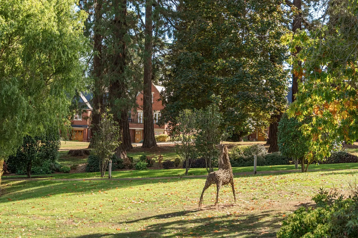 Butterwick Way, Welwyn, AL6 photo 17