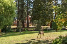 Butterwick Way, Welwyn, AL6 photo 17