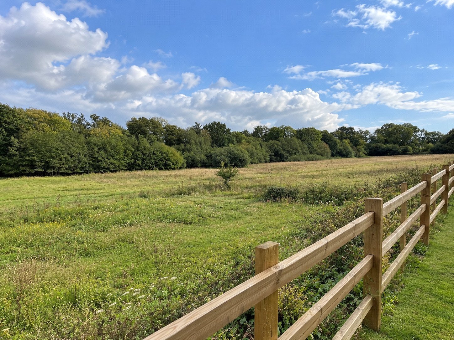 Fairbourne Lodge, Catts Farm, Newbury Road, Headley, Hampshire, RG19 Image 19