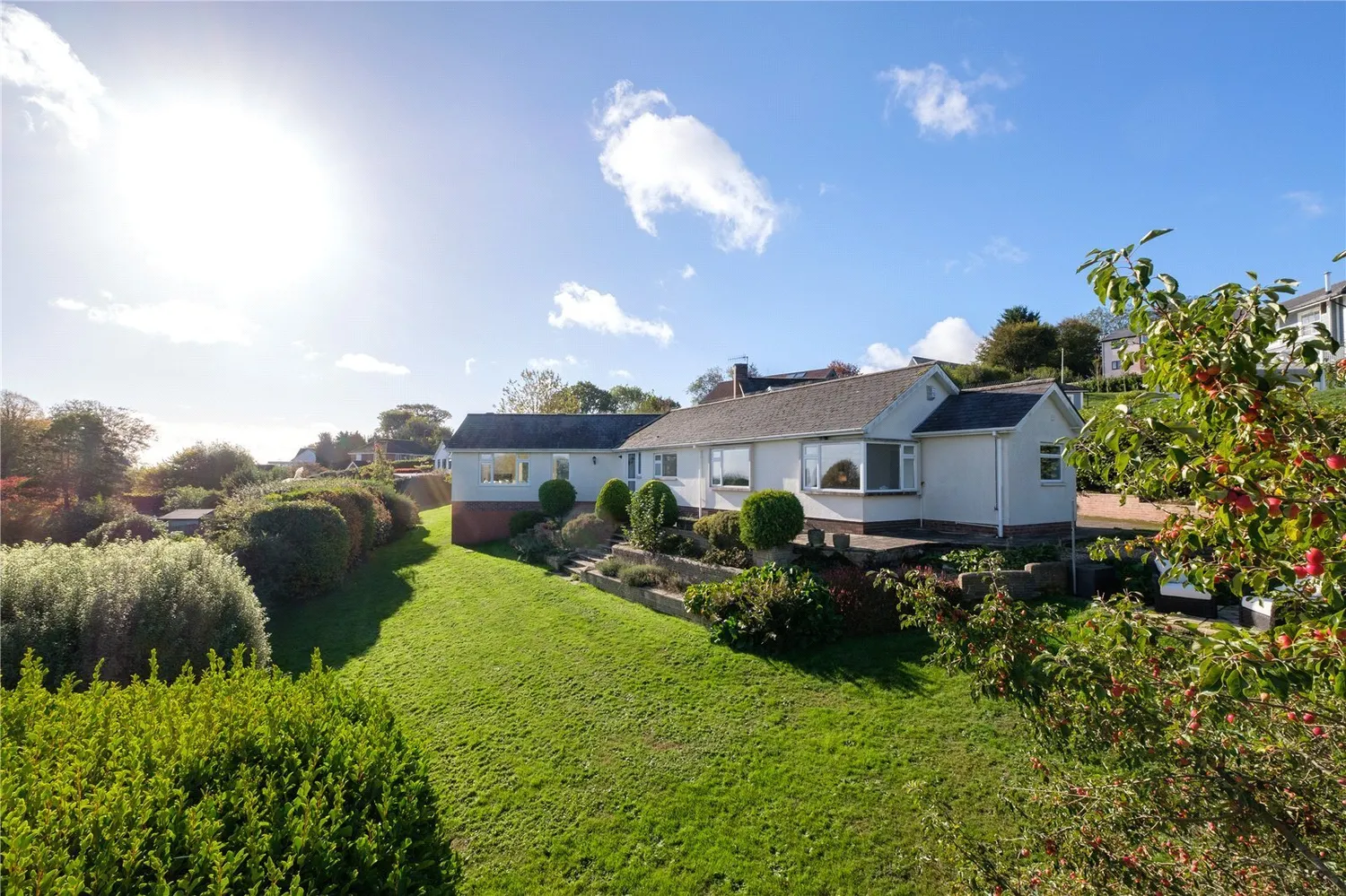 Clappentail Lane, Lyme Regis, DT7 photo 32