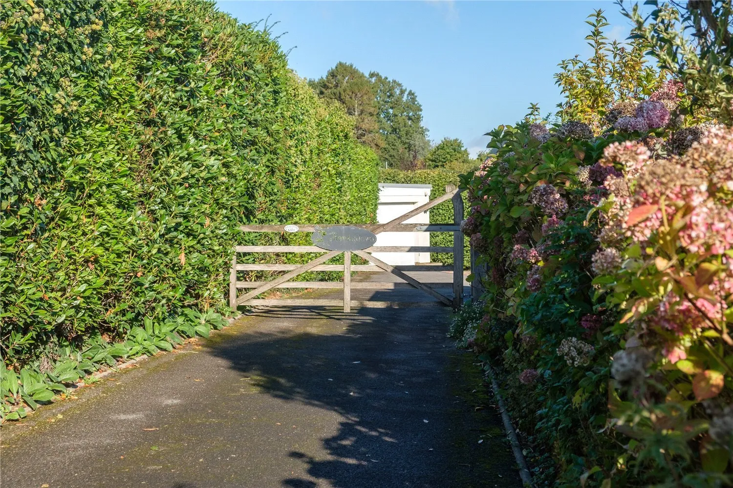 Clappentail Lane, Lyme Regis, DT7 photo 44
