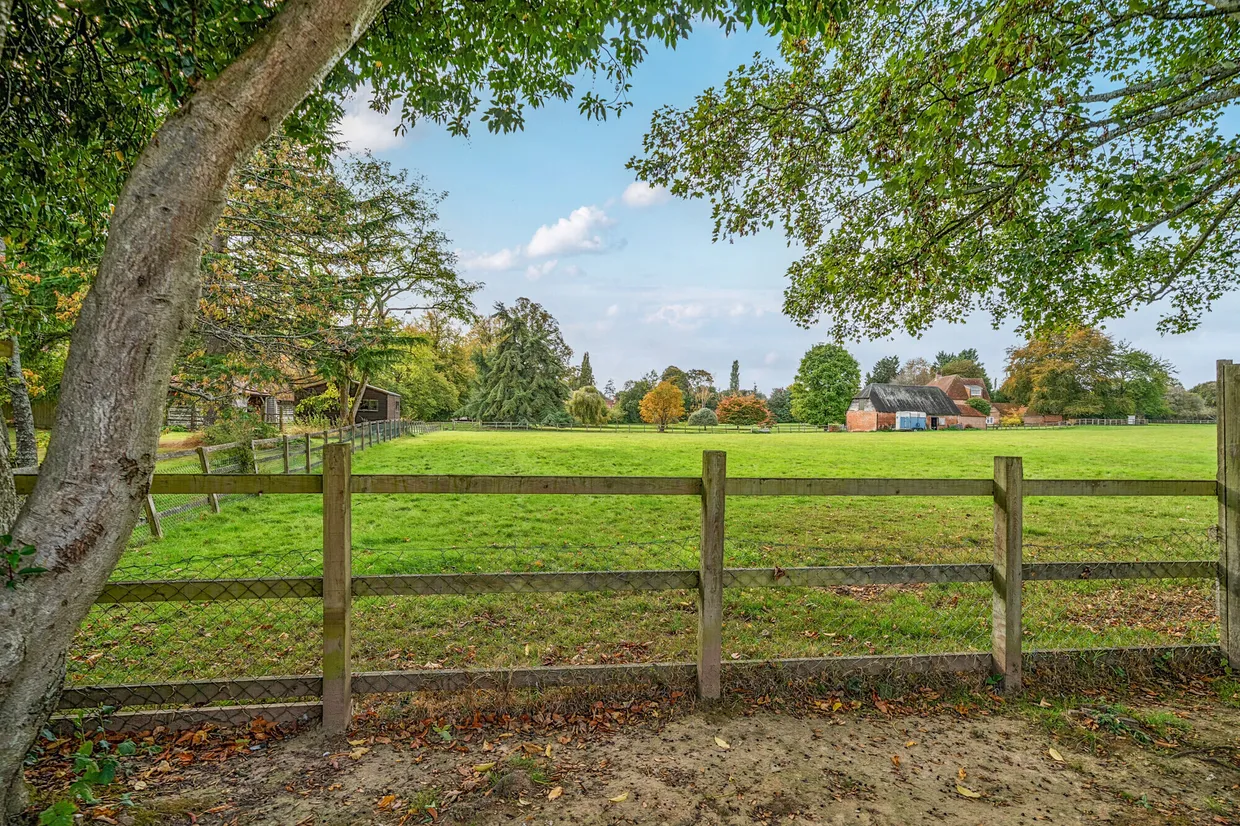 Clement Court, Chawton, GU34 photo 17