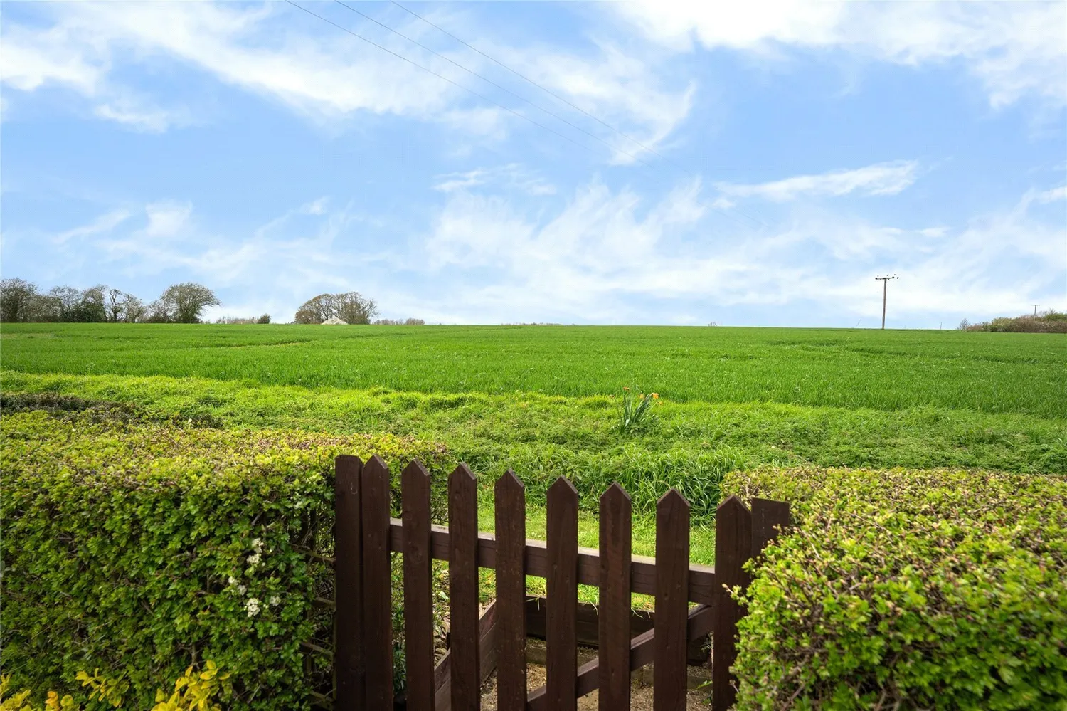 Combs, Stowmarket, IP14 photo 13
