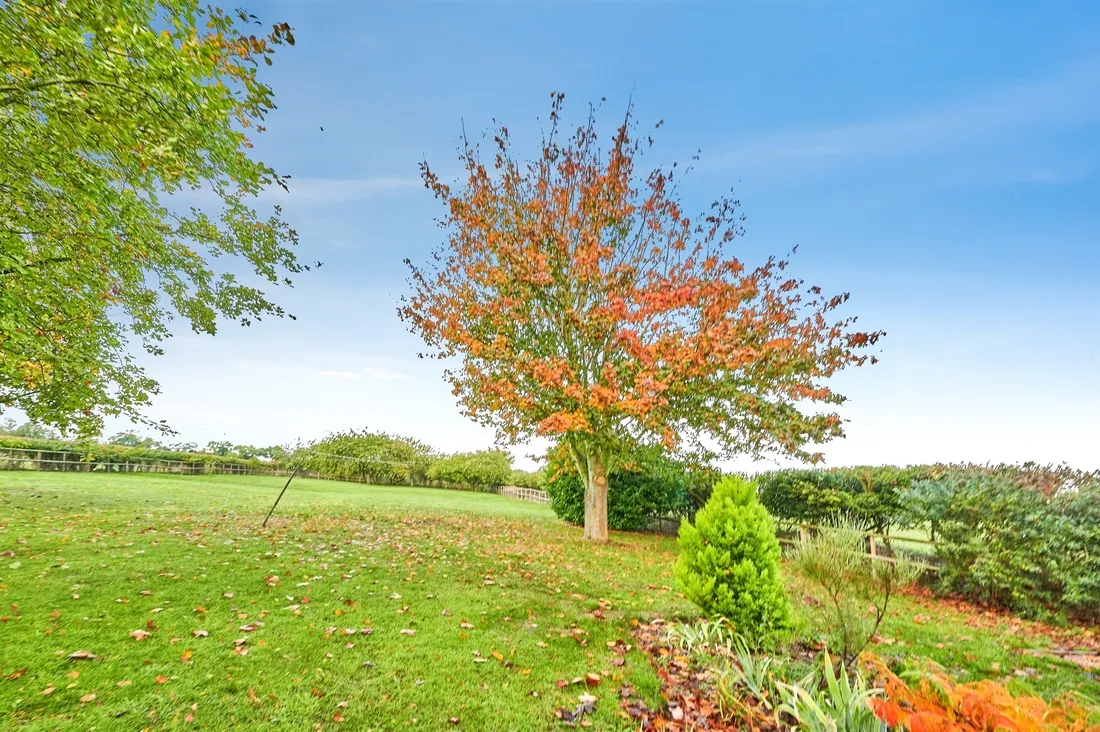 Property photo 26