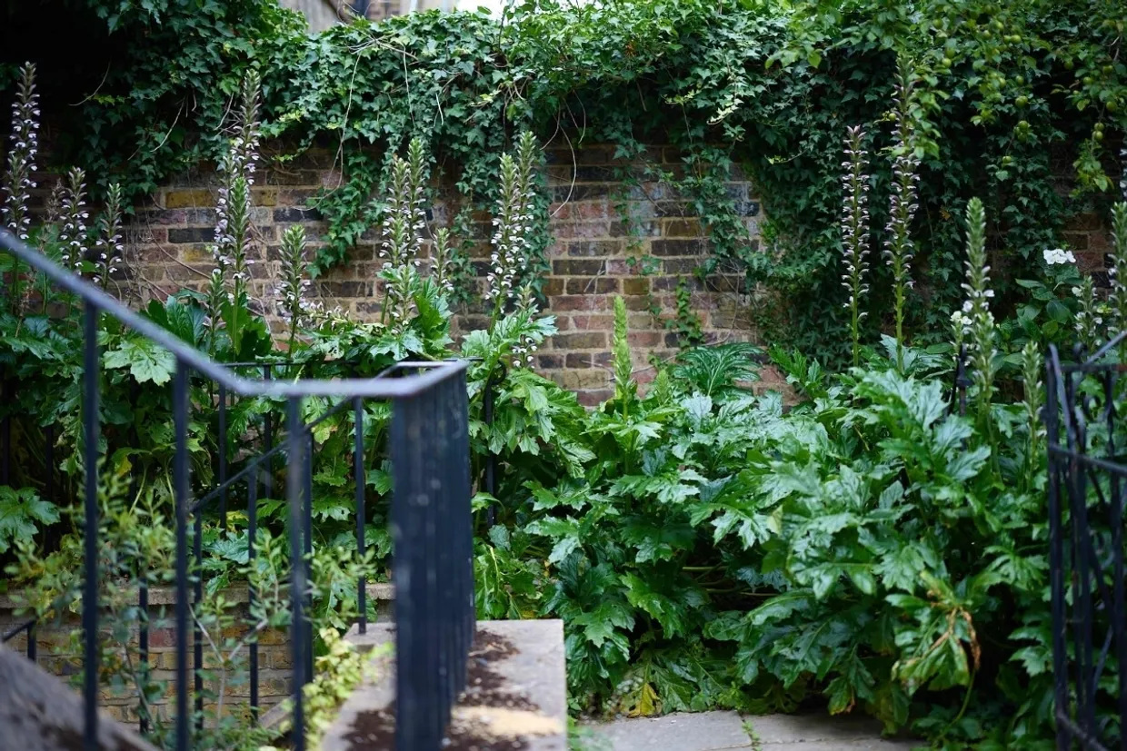 Crescent Grove London SW4 photo 29