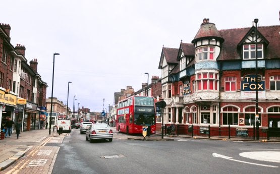 Save Our Green Lanes by Paul Mandel