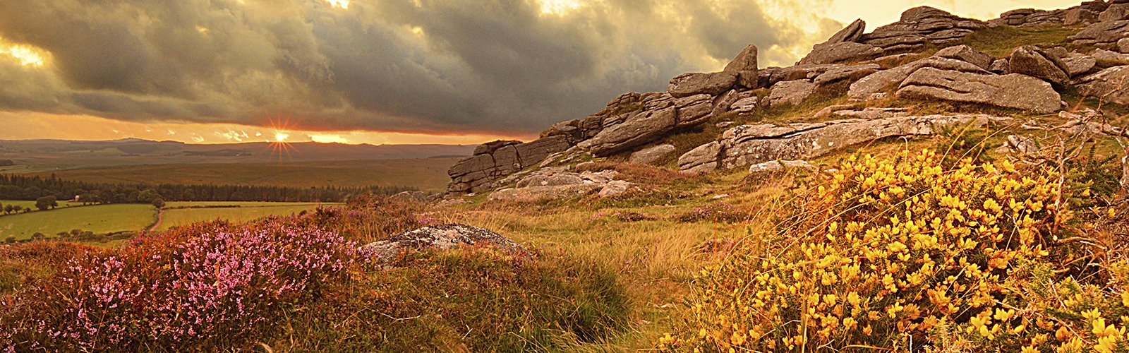 Properties for sale from Bovey Tracey branch, Bradleys.