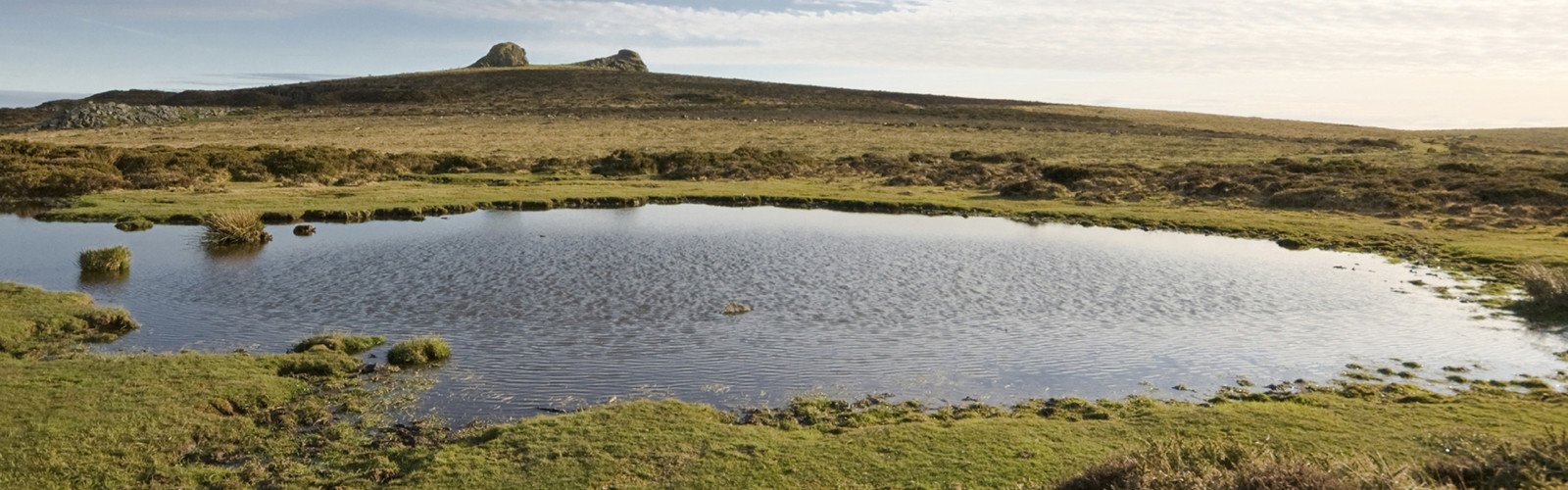 Bradleys Estate Agents Newton Abbot