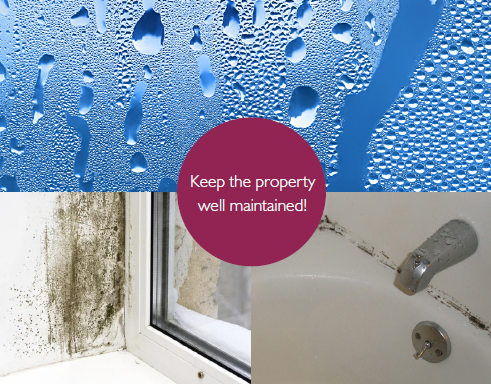 Condensation James Sellicks Are Experienced Estate Agents In