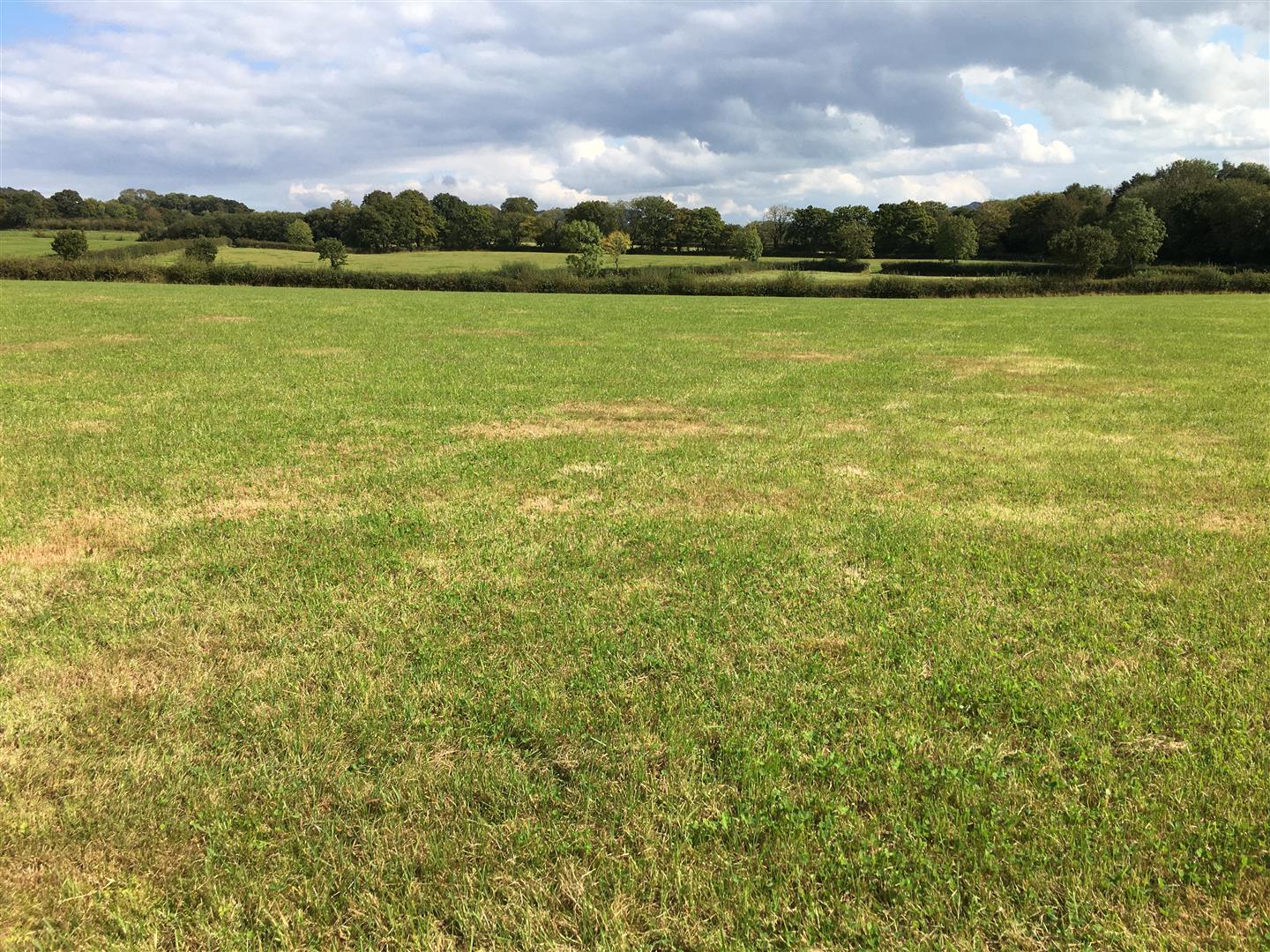 Stags farm and land agents.
