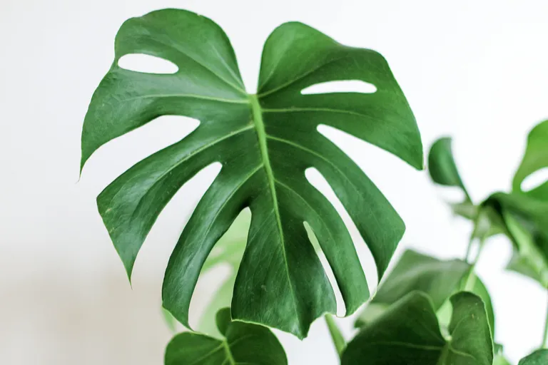 The top 2022 home décor trends you need to know hero