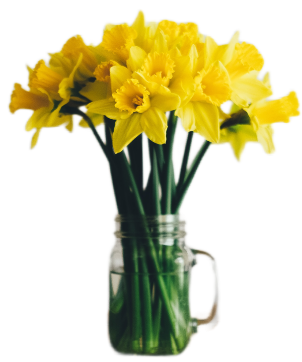 Peter Alan Estate and Letting Agent