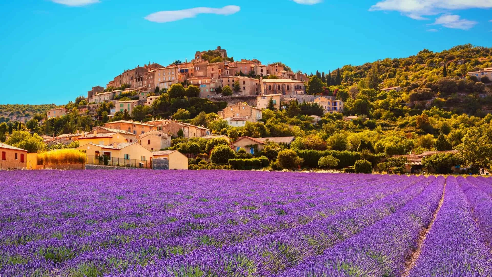 France Overview