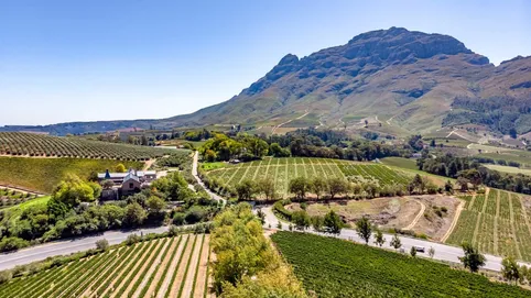 South Africa market overview