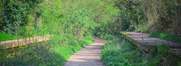 Crouch End greenspace