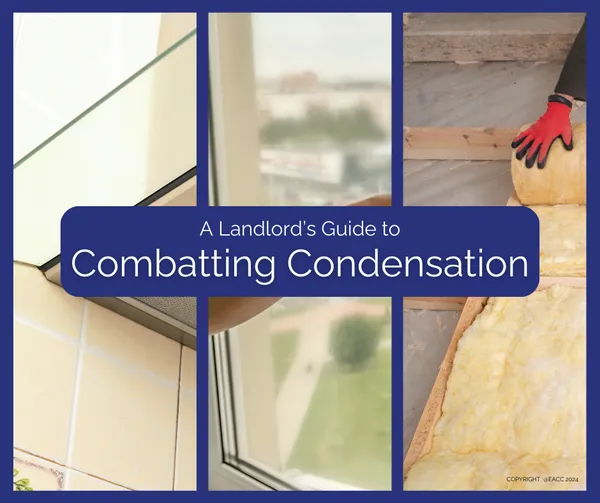 Image showcasing Six Steps to Combat Condensation - For Landlords