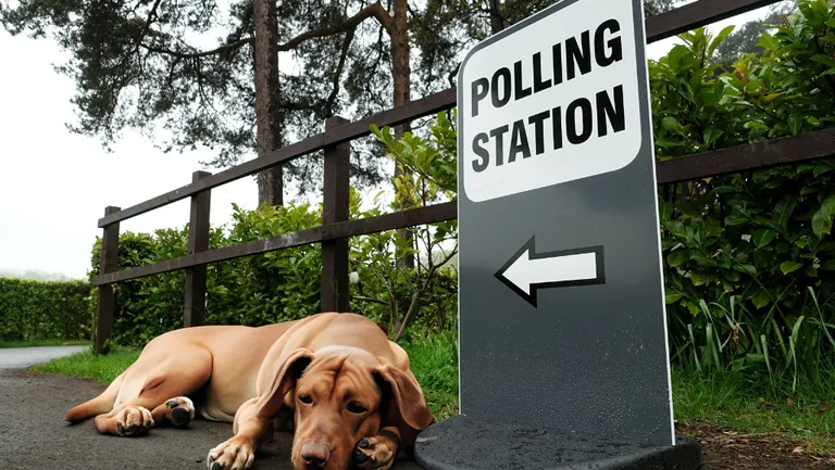 What does the general election mean for my Norfolk property? hero
