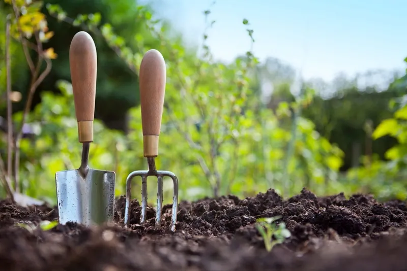 A Runcorn Landlord’s Guide to a Dispute-Free Garden
