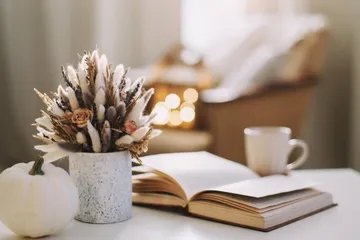 How to Maximize Natural Light in your Home as the Days Get Shorter