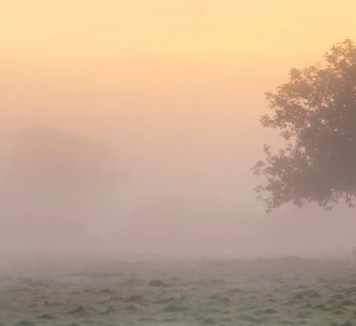 Lambourn Area Guide